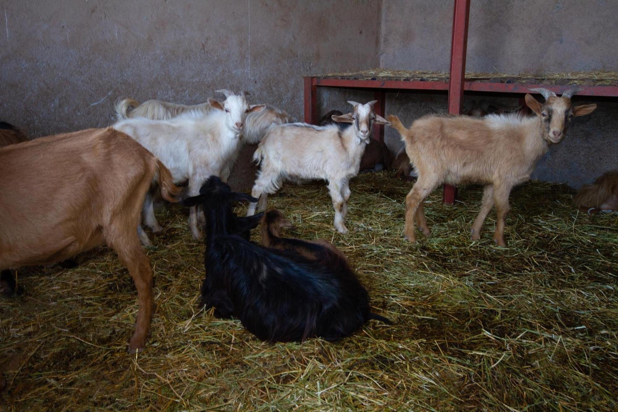 La Ferme De Lalladom Tameslouht Εξωτερικό φωτογραφία