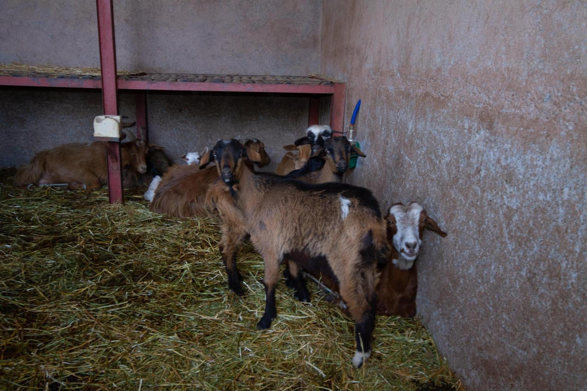 La Ferme De Lalladom Tameslouht Εξωτερικό φωτογραφία