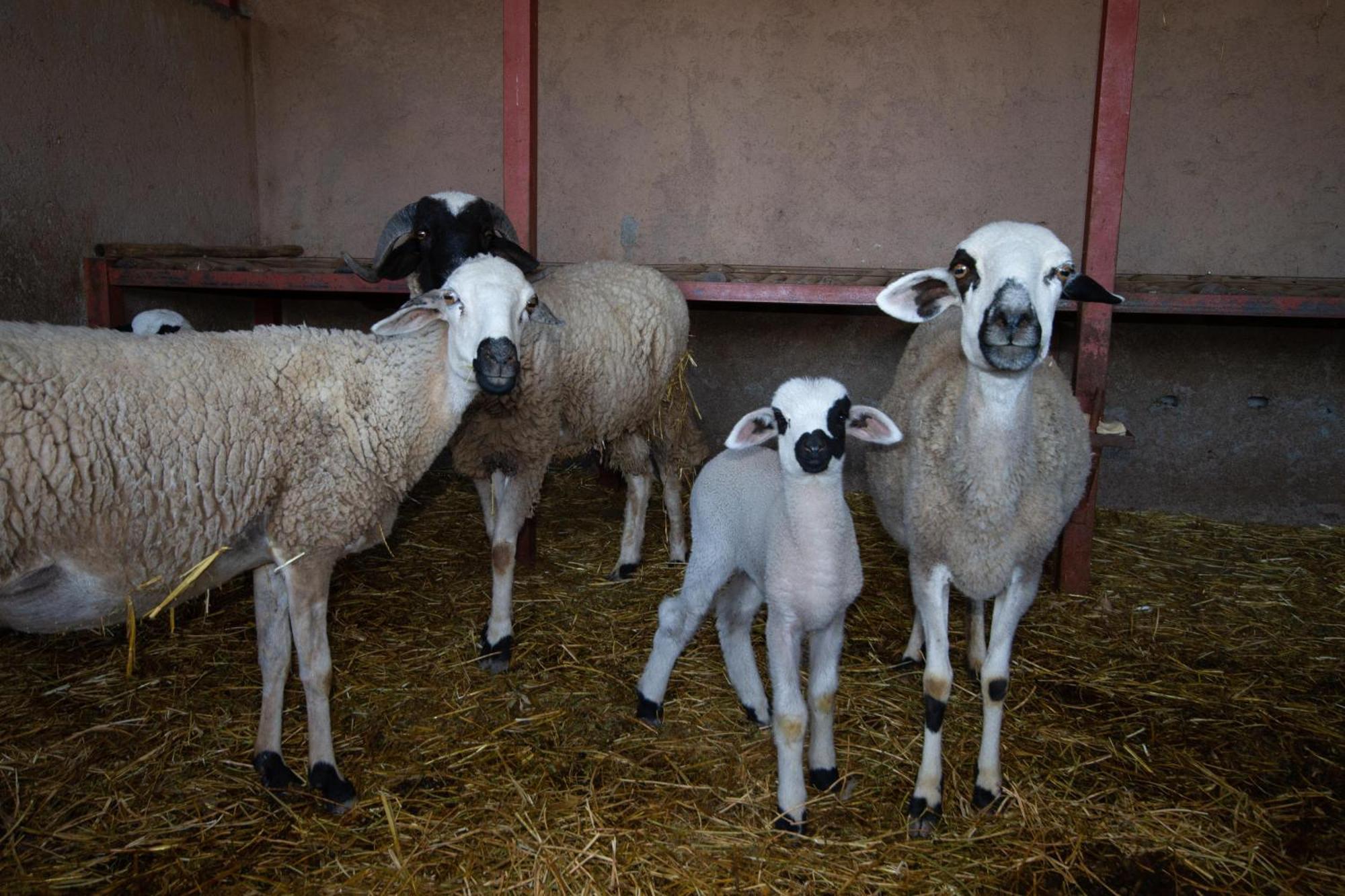 La Ferme De Lalladom Tameslouht Εξωτερικό φωτογραφία