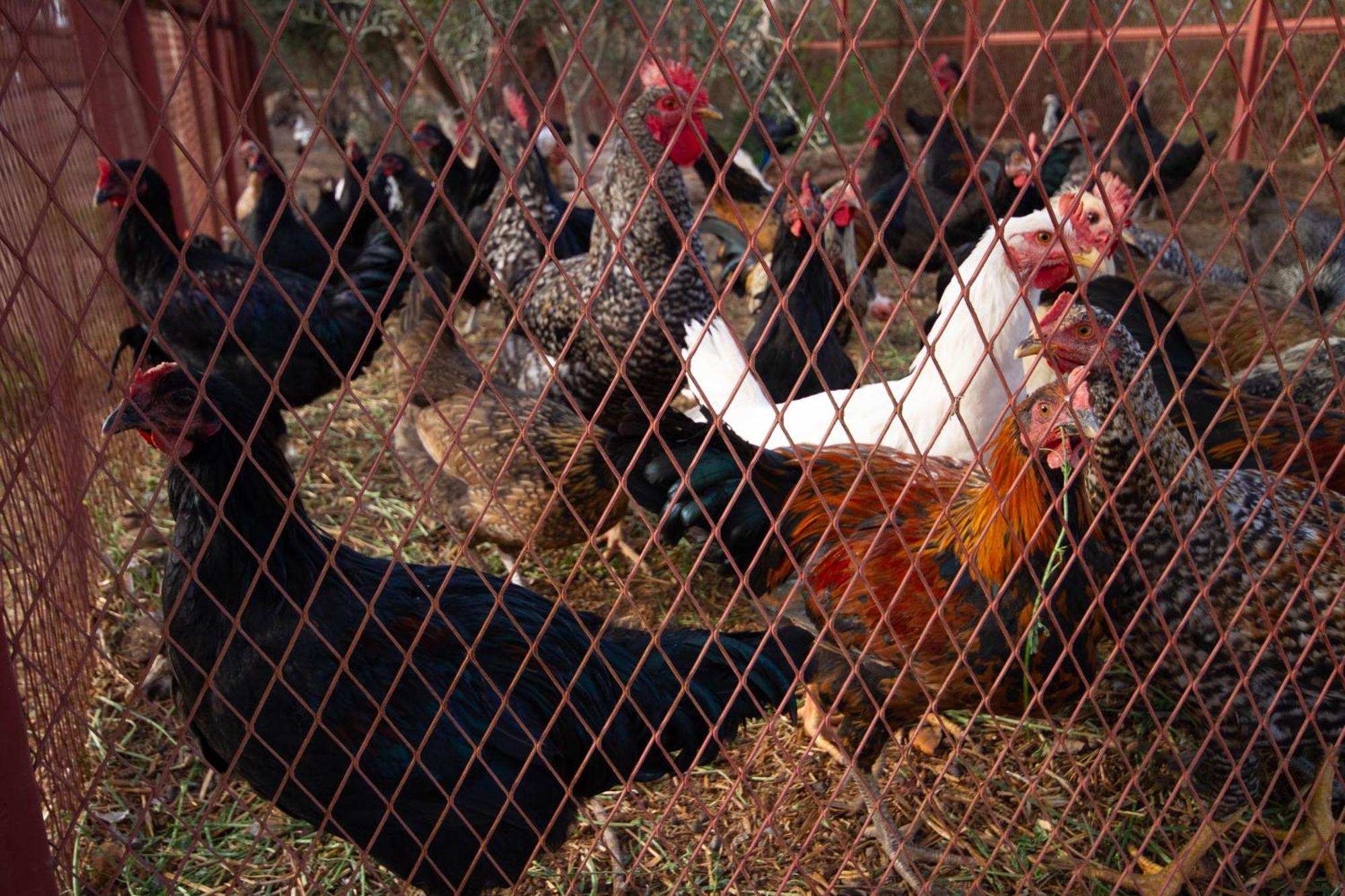 La Ferme De Lalladom Tameslouht Εξωτερικό φωτογραφία