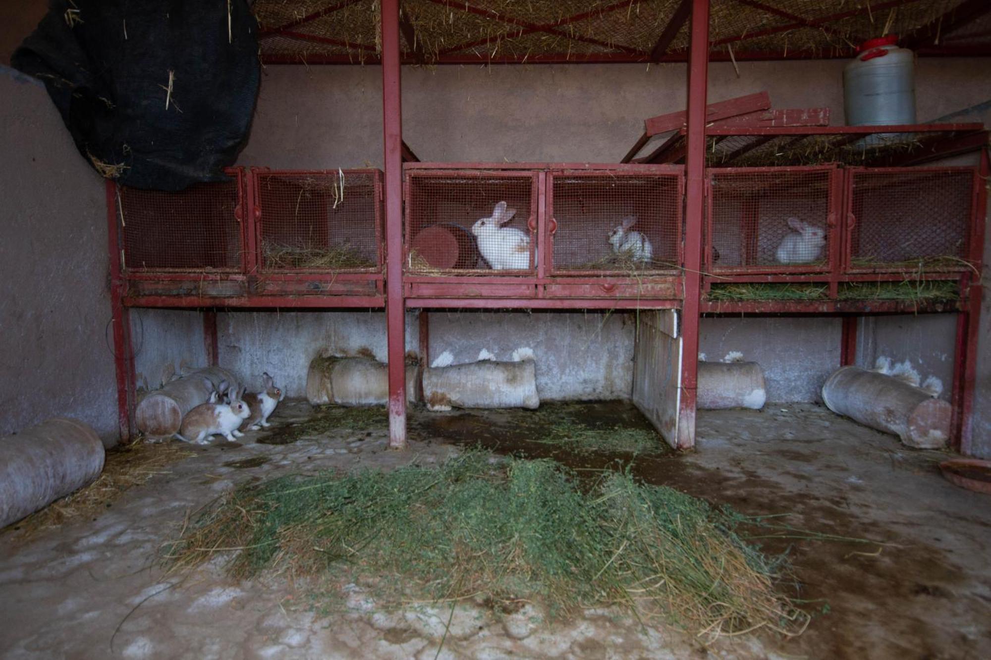 La Ferme De Lalladom Tameslouht Εξωτερικό φωτογραφία