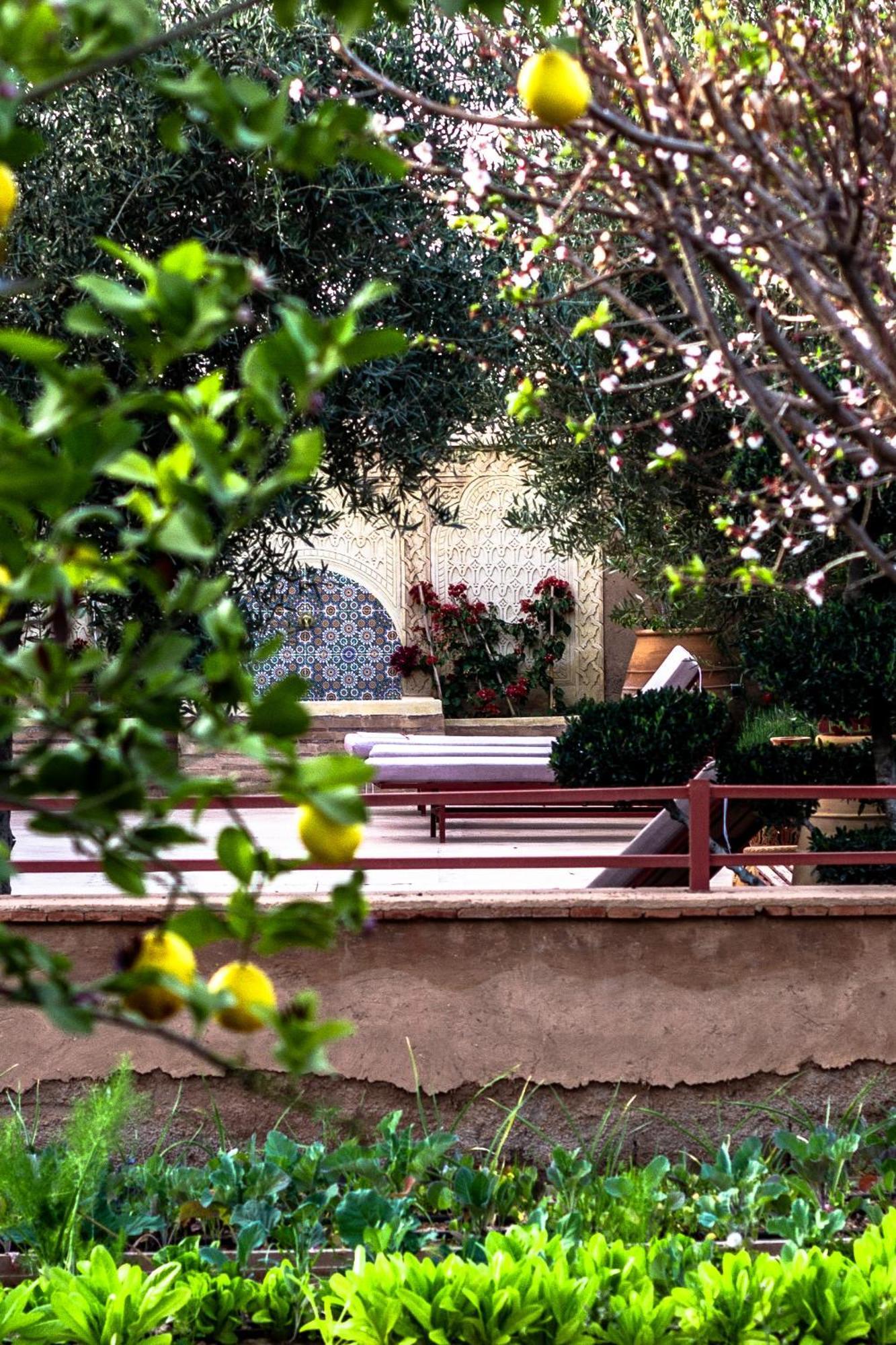 La Ferme De Lalladom Tameslouht Εξωτερικό φωτογραφία