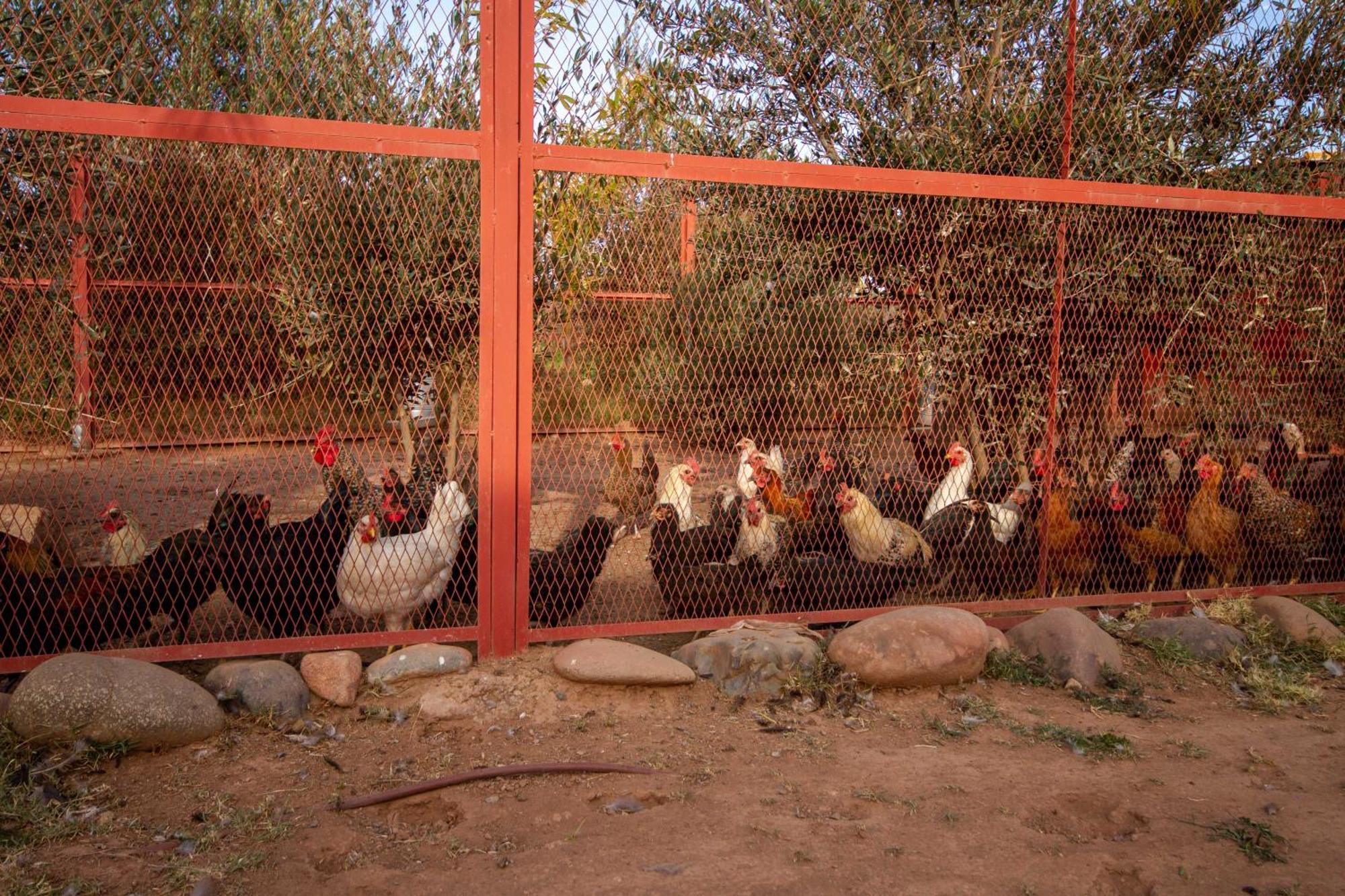La Ferme De Lalladom Tameslouht Εξωτερικό φωτογραφία